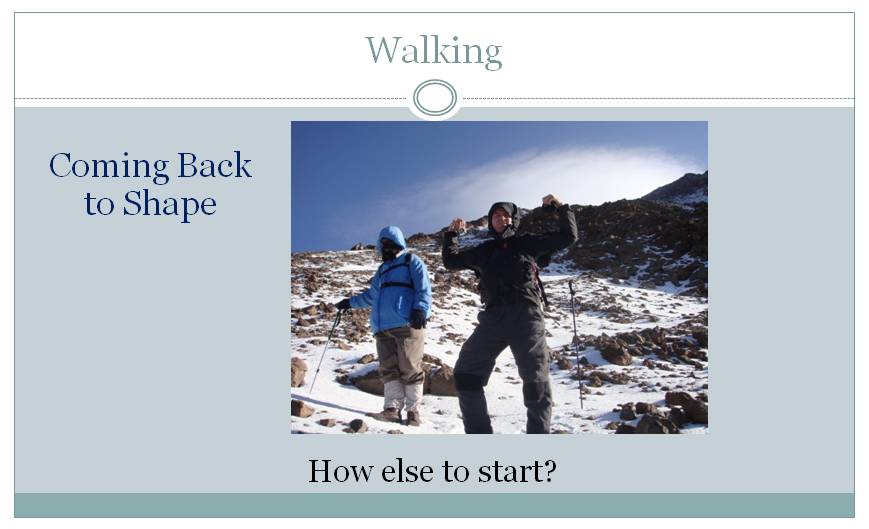 Coming Back to Shape image 2