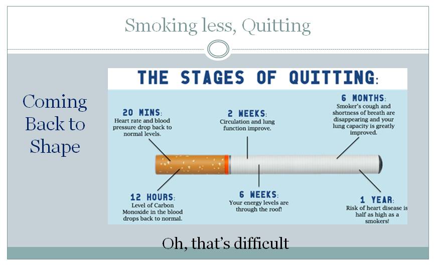 Coming Back to Shape image 4